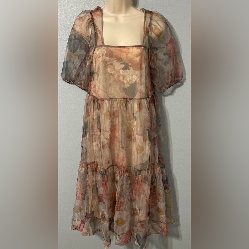 H&M Floral Organza Midi Dress Sheer Puff Sleeve Cottagecore Romantic Boho Small
